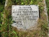 image of grave number 77006